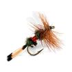 royal coachman